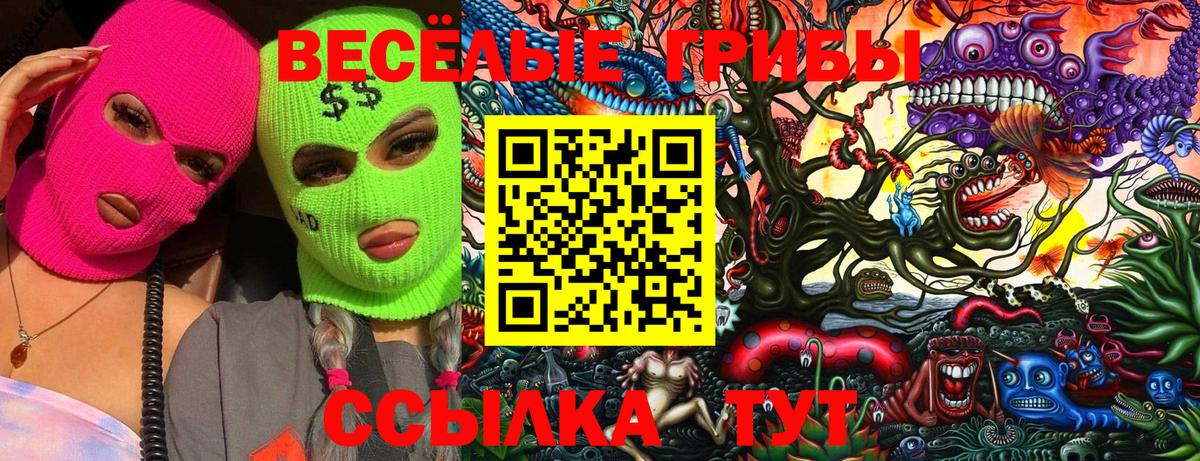Псилоцибиновые грибы Magic Shrooms  Галлюциногенные грибы GOLDEN TEACHER  Вход с VPN  Муром 
