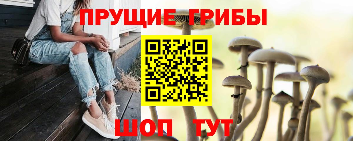 Галлюциногенные грибы прущие грибы Муром